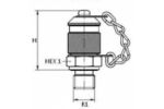Racord punct măsurare BSP FE o-ring, capac metal